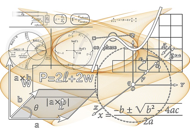 What are the various branches of mathematics